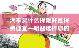 如何明智选择汽车保险方案，低成本且全面保障的选择策略