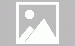 天花板藏巨大蜂窝，租客入住遭蜂蛰警告