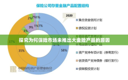 保险市场未推出大金险产品的原因探究