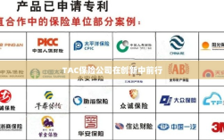 TAC保险公司，创新引领前行之路