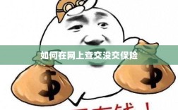网上查保险缴纳状态指南