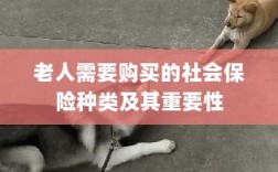 老人需购买的社会保险种类及其重要性概览