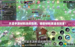 天谕手游材料选择指南，哪些材料更适合玩家？