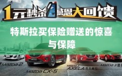 特斯拉保险赠品，惊喜与全方位保障