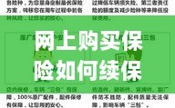 网上购买保险续保攻略，便捷操作及注意事项