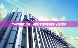 TAC保险公司，引领保险行业未来先锋