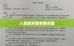 入保险必备单据解析