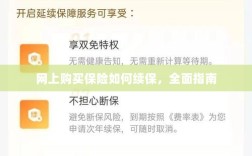 网上购买保险的续保指南，全面解析保险续保流程