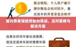 养老保险中断挑战应对方案与策略探讨