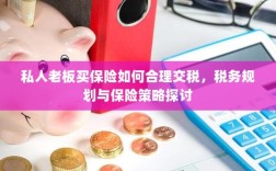 私人老板如何合理交税，税务规划与保险策略探讨指南
