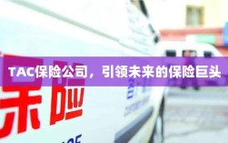 TAC保险公司，引领保险行业未来巨头之路