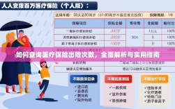 医疗保险出险次数查询指南，全面解析与实用查询方法