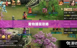 问道手游，宠物捕捉攻略全解析
