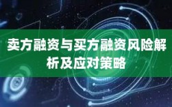 卖方融资与买方融资风险解析及应对策略
