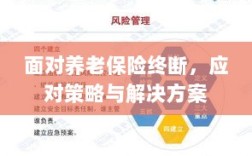 养老保险中断危机，应对策略与解决方案探讨