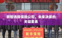明智选择保险公司，未来决策的关键要素概览