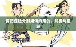 离婚保险分割约定详解与指导手册