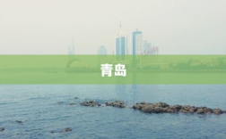 北方第三城，追赶新加坡与上海的24小时城市之旅