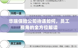 华瑞保险公司员工待遇全方位解读，员工视角的细致剖析