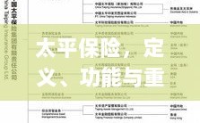 太平保险，定义、功能及其重要性解析