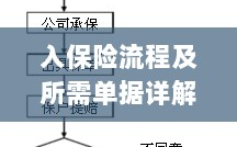 保险投保流程与所需单据全面解析