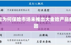 保险市场未推出大金险产品的原因探究