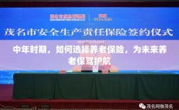 中年时期如何明智选择养老保险，为未来养老生活保驾护航