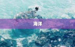 市场强势上扬，超20只基金涨幅达4%！医药主题产品却表现疲软领跌市场