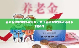 养老保险金发放与管理，关于养老金发放至哪种卡的深度探讨