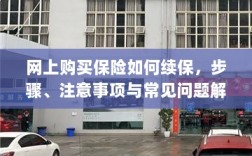 网上保险续保指南，步骤、注意事项及常见问题解答