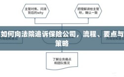 追诉保险公司指南，流程、要点与策略全解析