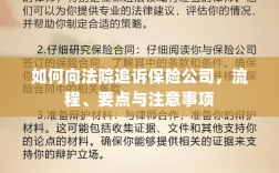 追诉保险公司流程及要点解析，法院途径、注意事项全解析