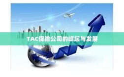 TAC保险公司的崛起与蓬勃发展之路