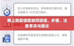 网上购买保险续保指南，步骤、注意事项及建议