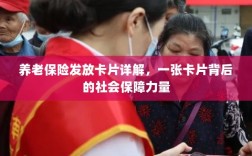 养老保险发放卡片全面解析，社会保障力量的见证