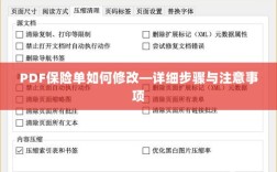 PDF保险单修改指南，步骤详解及注意事项
