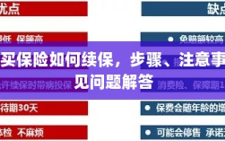 网上保险续保指南，步骤、注意事项及常见问题解答