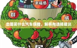 出国购车保险指南，解析与选择建议