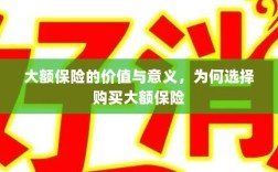 大额保险的价值与意义，为何选择购买及其重要性