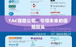 TAC保险公司，引领保险行业未来巨头之路