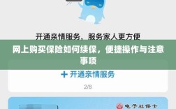 网上购买保险续保攻略，便捷操作及注意事项