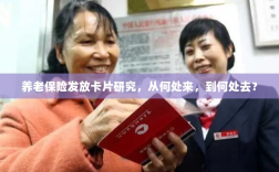 养老保险发放卡片研究，历程、现状与未来展望