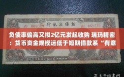 瑞玛精密，高负债率下的2亿元收购计划，货币资金规模挑战短期借款极限