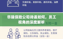 华瑞保险公司员工待遇深度解析，员工视角探讨揭秘公司福利待遇内幕