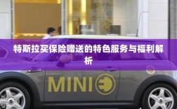 特斯拉保险赠品特色服务与福利深度解析