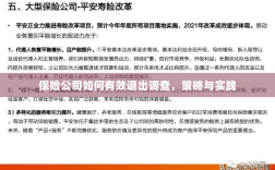 保险公司有效退出调查的策略与实践探讨