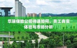华瑞保险公司待遇揭秘，员工真实体验与市场深度分析