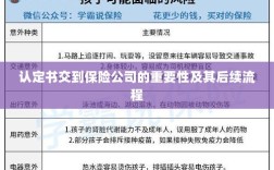 认定书对保险公司的重要性及后续流程详解