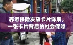 养老保险发放卡片全面解析，社会保障力量的见证