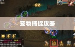 问道手游宠物捕捉攻略全解析